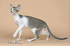 12_Injoi Nala